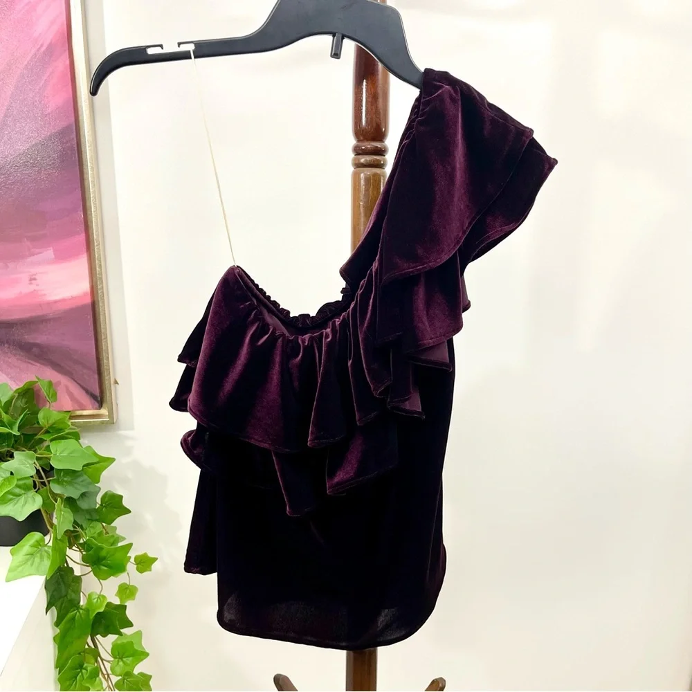 Misa Ruffle One-shoulder Velvet TopIn Plum Velvet Size S‎